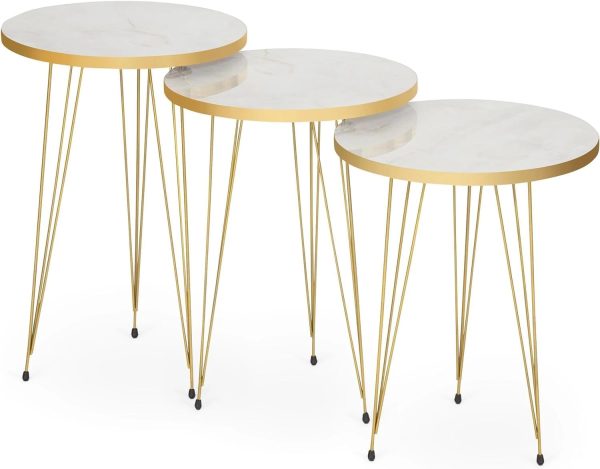 Home Essential Set Of 3 Coffee Table Golden (white)